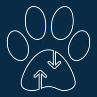 Paw icon